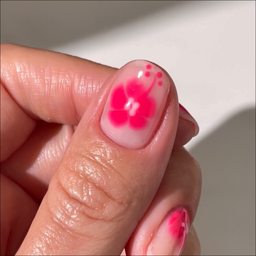 Blooming Gel Kit