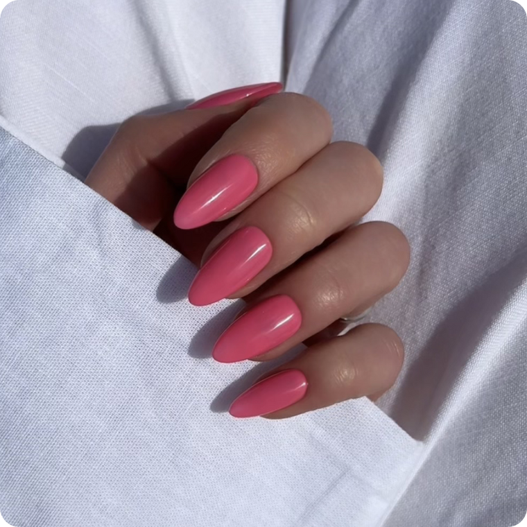 Bundle Offer with 4 Colors