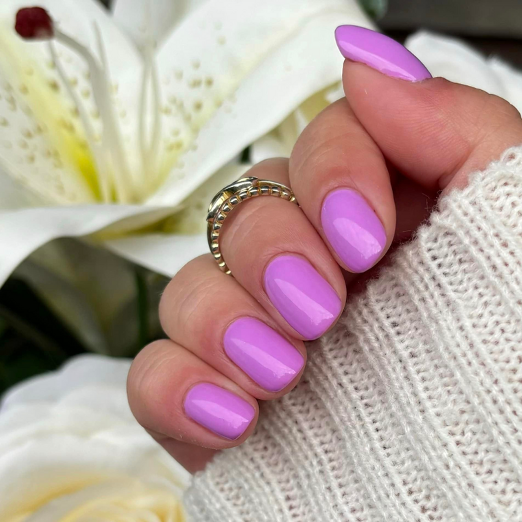 551 Lavender