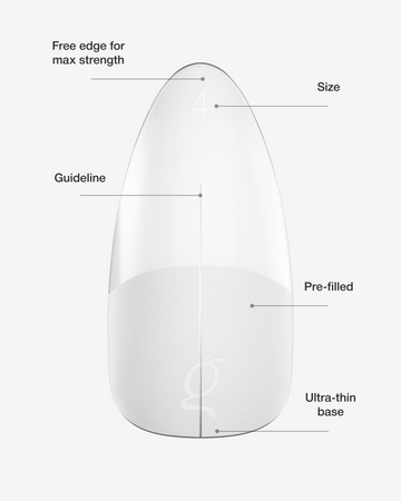Gel Tips Almond Medium – free edge, size, guideline, pre-filled, ultra-thin base