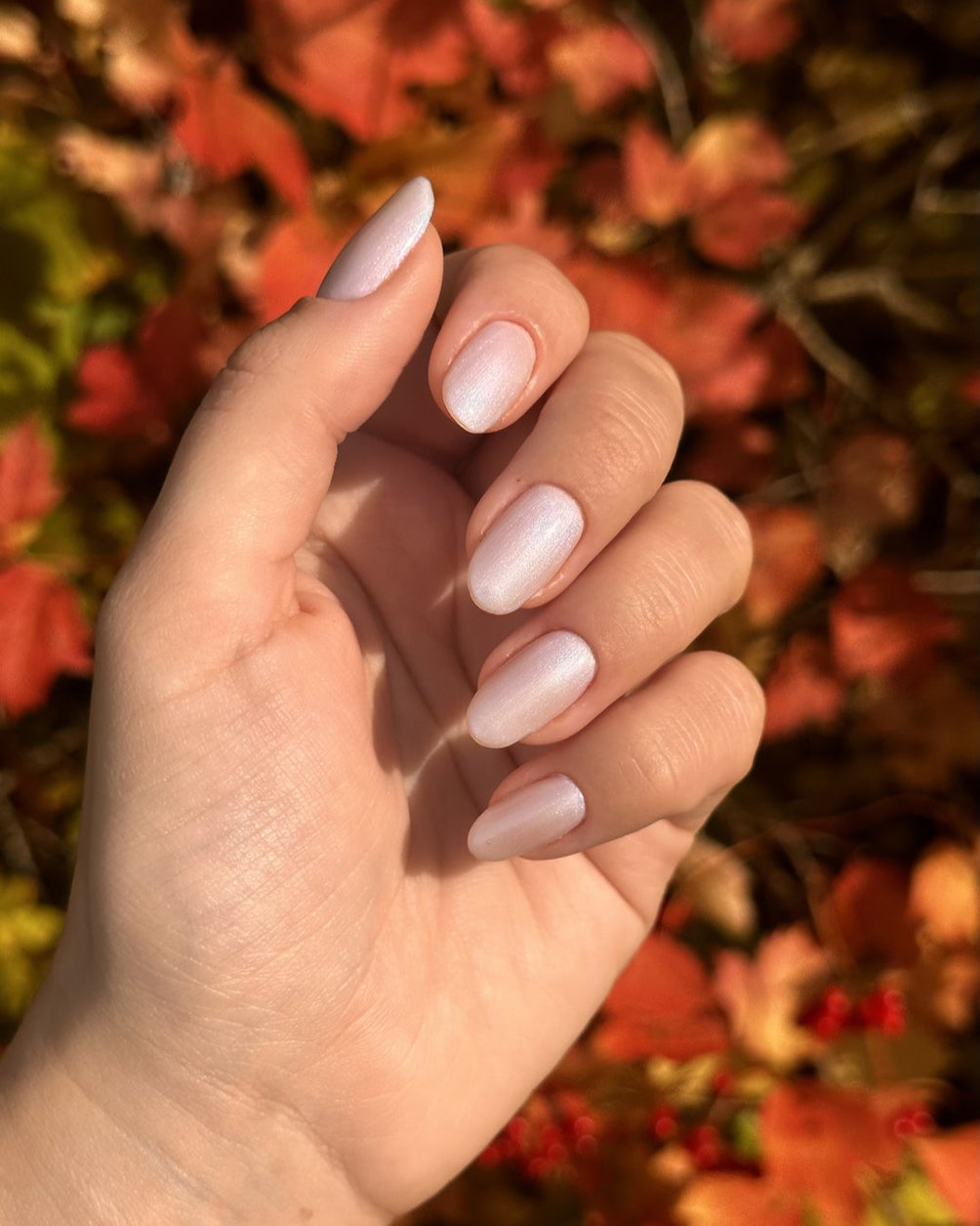 280 Something New on nails